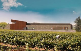 Projecte nou celler Pedregosa